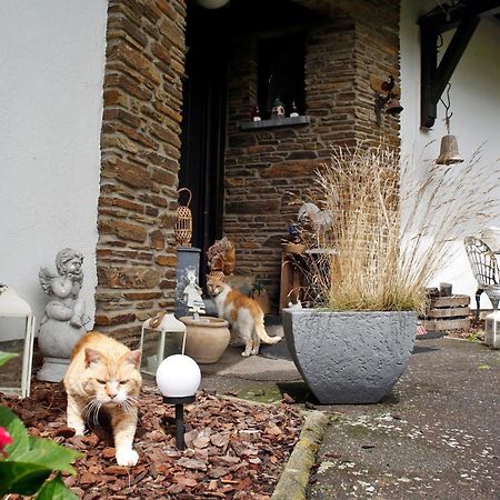 B&B Au Coq En Pate Jalhay Exteriör bild