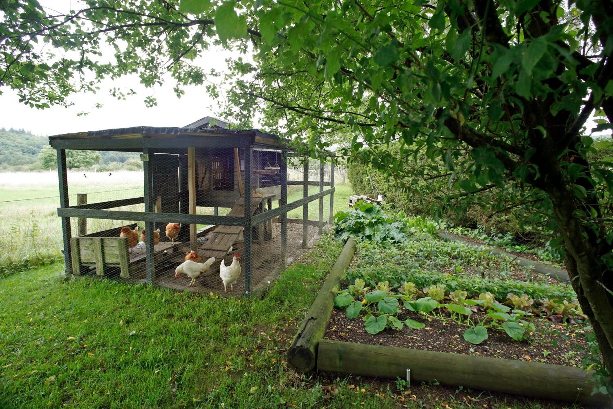 B&B Au Coq En Pate Jalhay Exteriör bild