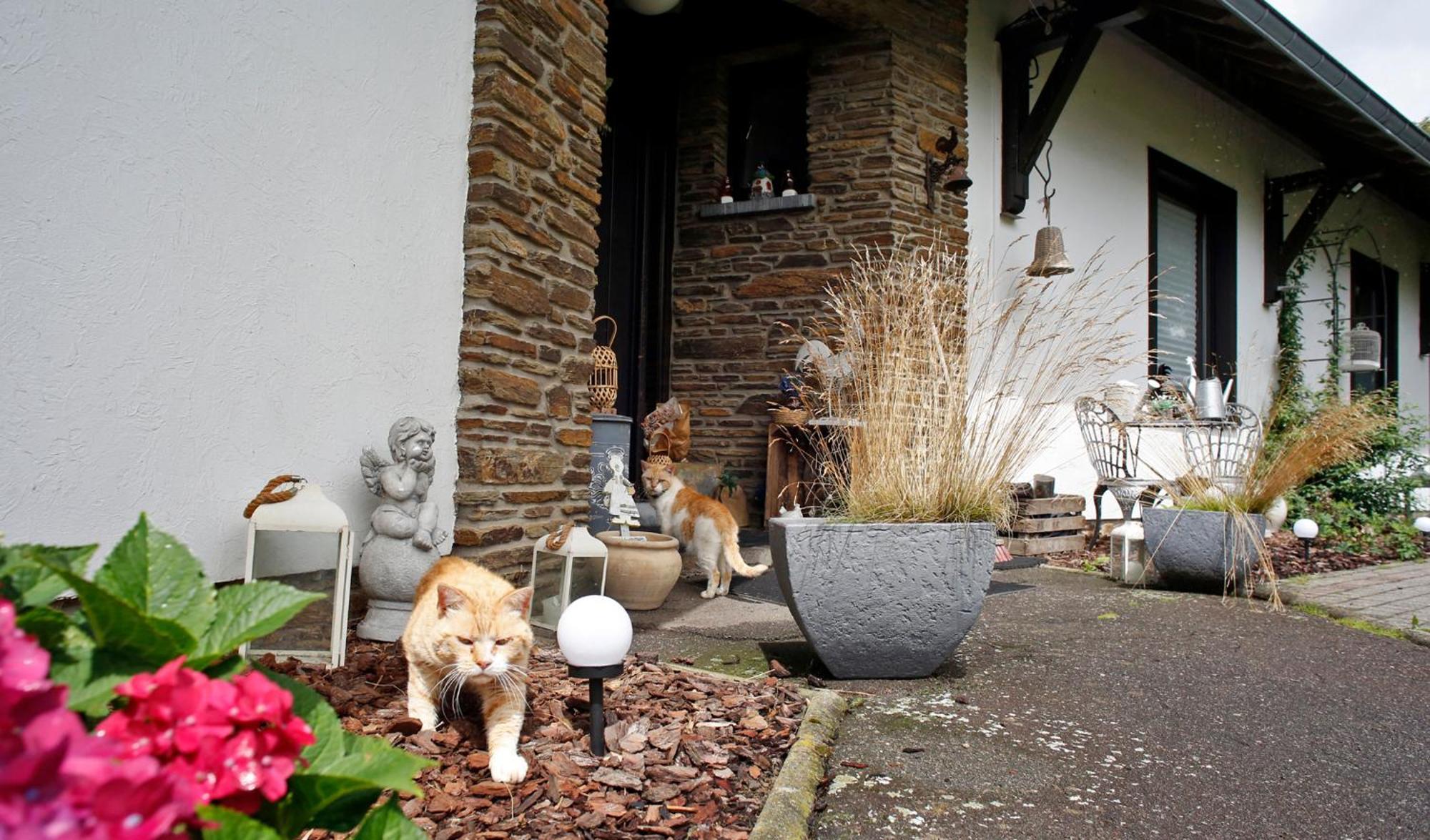 B&B Au Coq En Pate Jalhay Exteriör bild